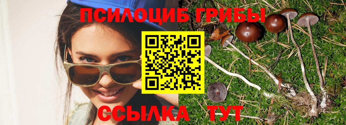Бахчисарай  Галлюциногенные грибы GOLDEN TEACHER  Вход с VPN  Галлюциногенные грибы прущие грибы 