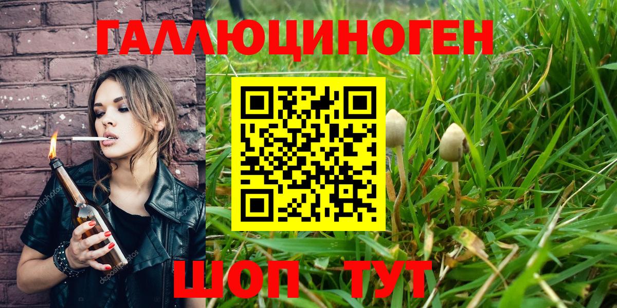 Псилоцибиновые грибы MAGIC MUSHROOMS Бахчисарай